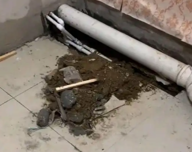 广宁卫生间漏水检测哪家好
